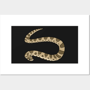 Hognose Snake Posters and Art